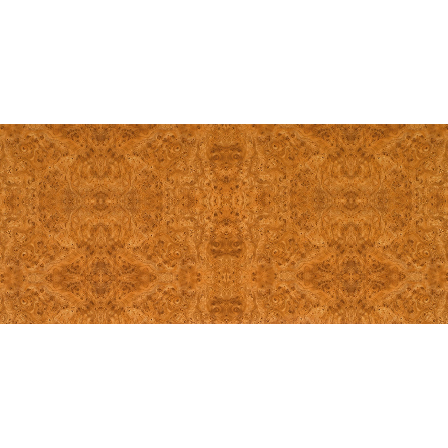 1306 P Karelijos beržas