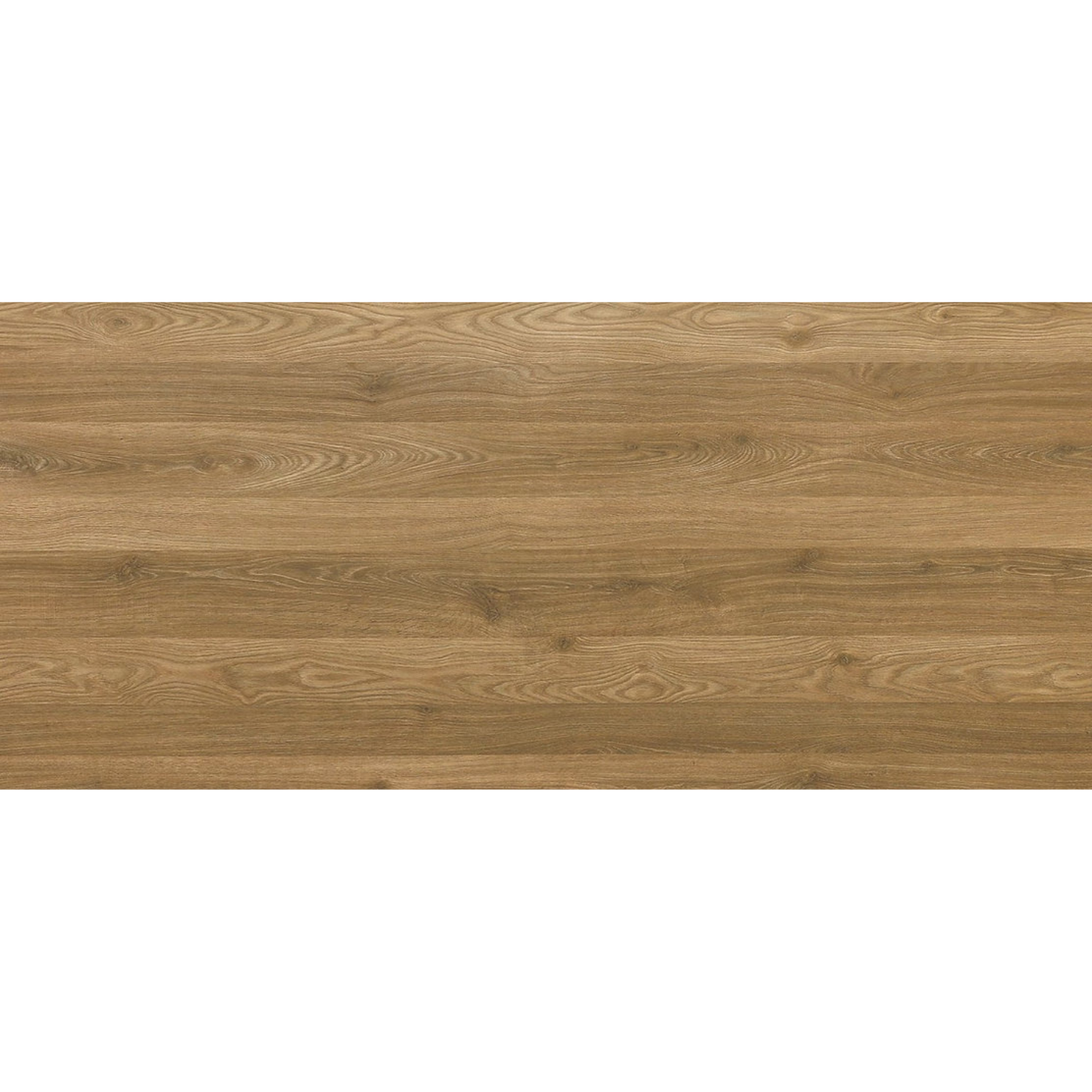 C005 CL Ąžuolo svirplys