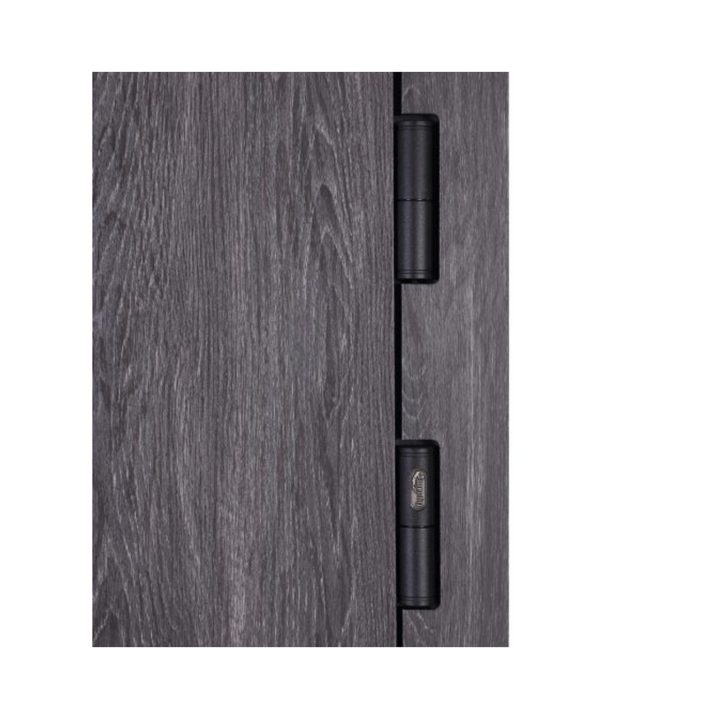 B85 modelis 570
